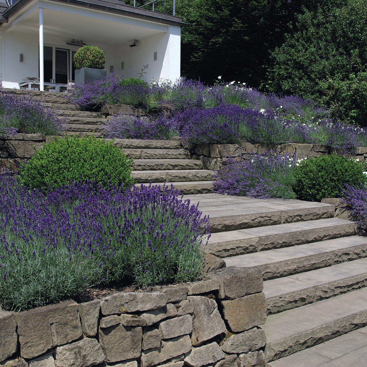 produkte blockstufen 05