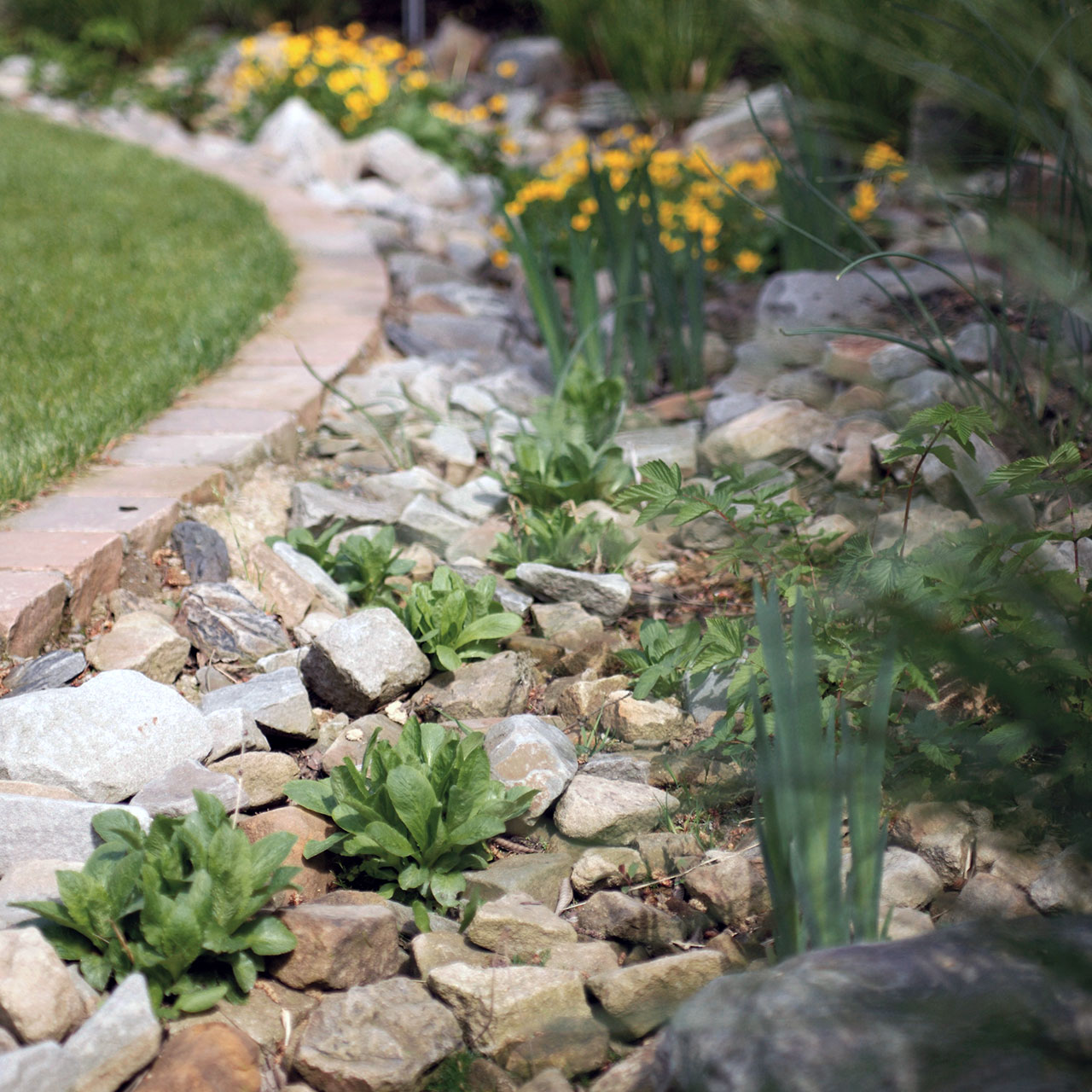 Produkte Grobschotter/Wasserbausteine