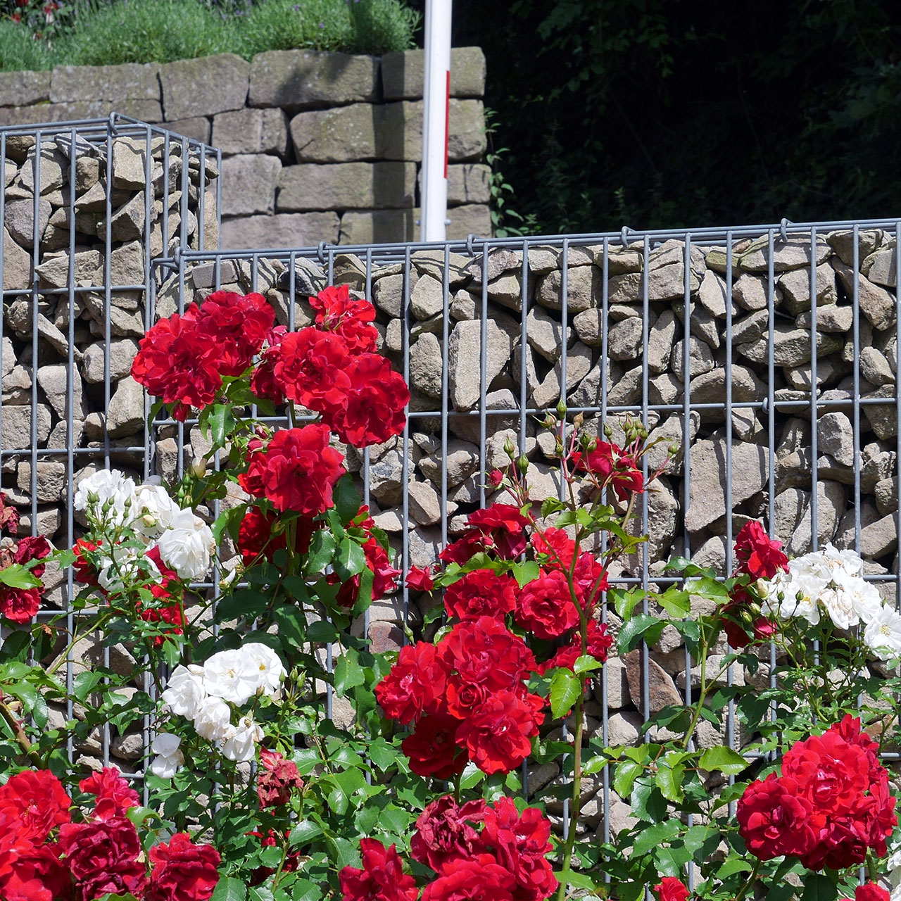 Produkte Grobschotter/Wasserbausteine