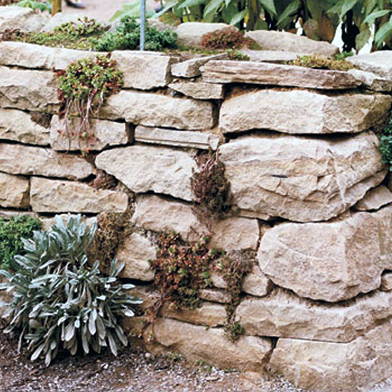 Mauersteine - Böschung - Trockenmauersteine 2 Trockenmauer zweiwandig - Hergestellt aus Trockenmauersteinen und dünnen Trockenmauersteinen