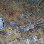 Gladbeck - Hahnenbach - Renaturierung