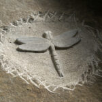 Gladbeck - Hahnenbach