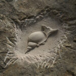 Gladbeck - Hahnenbach